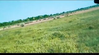 Речной отсос и беспощадный секс на берегу