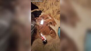 Интимное домашнее видео с сексуальной красоткой