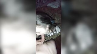 Молодая девушка делает минет и проглатывает сперму
