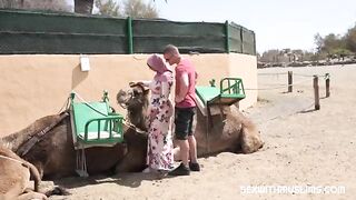 Горячая мусульманка отсасывает европейскому члену и принимает его в свою грязную киску