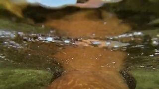 Развратная шлюха с бритой пиздой мастурбирует в море и обоссывает кого-то